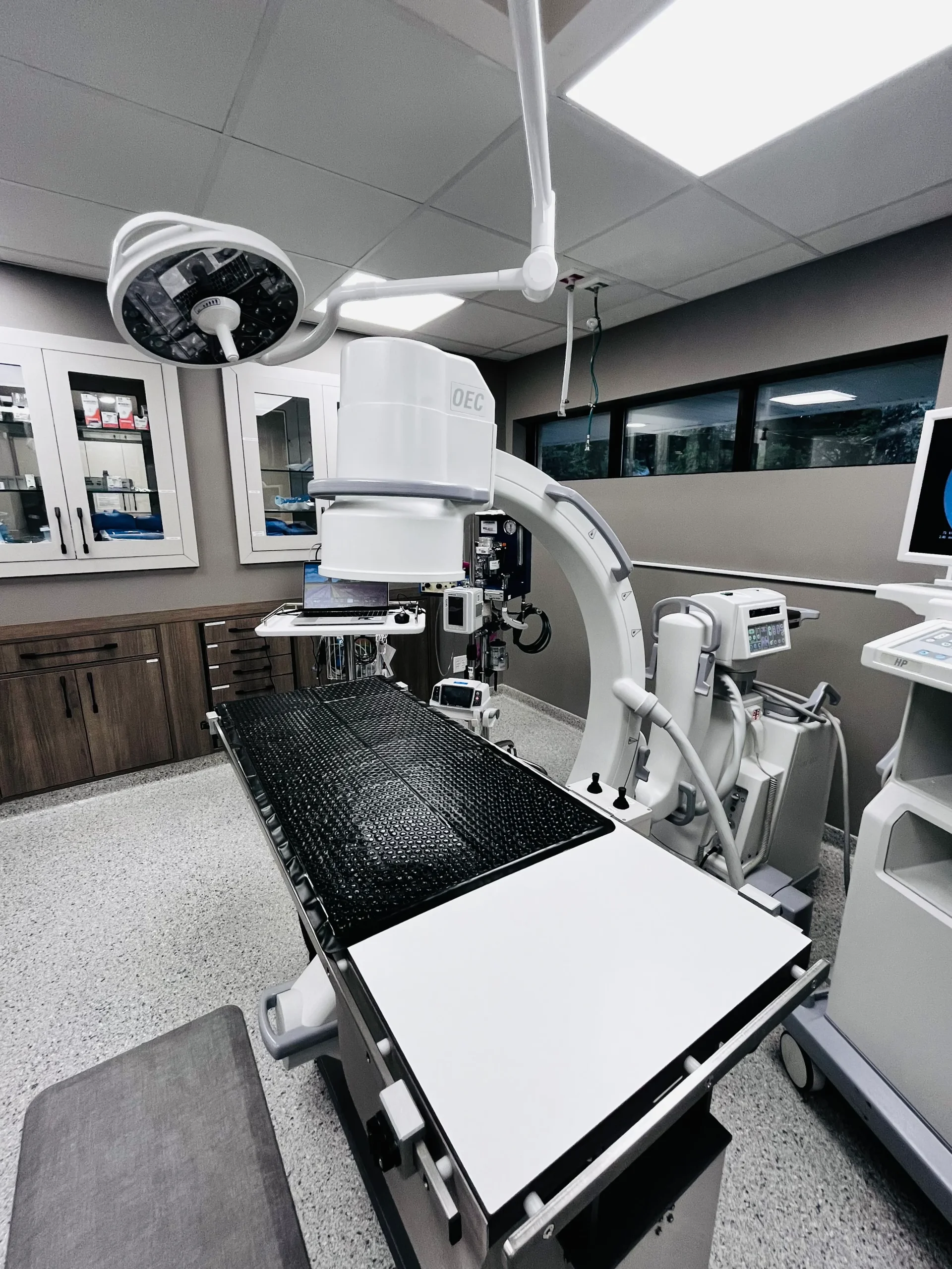 veterinary surgery services