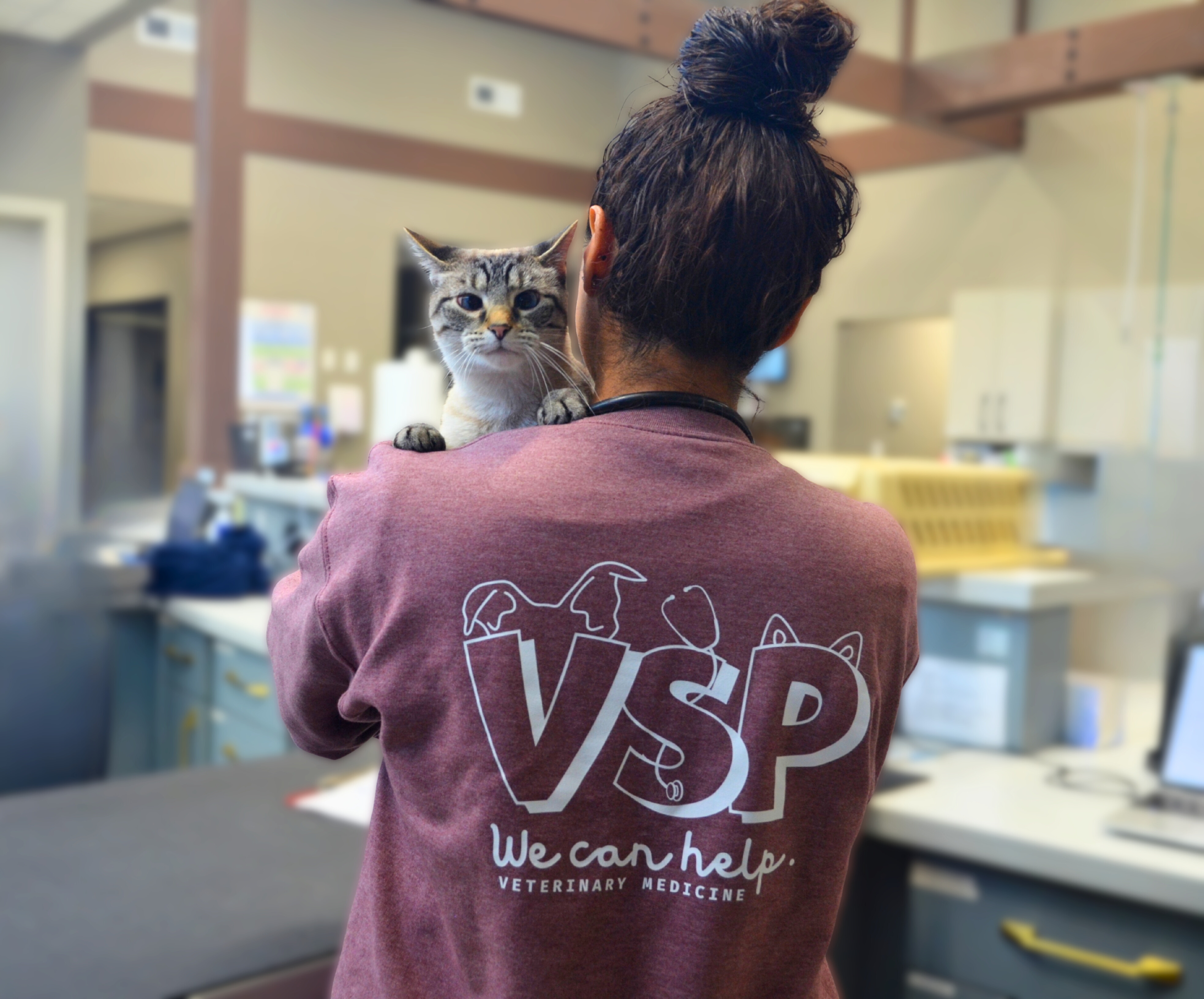 A cat peeks over the shoulder of a VSP veterinary hospital tech.