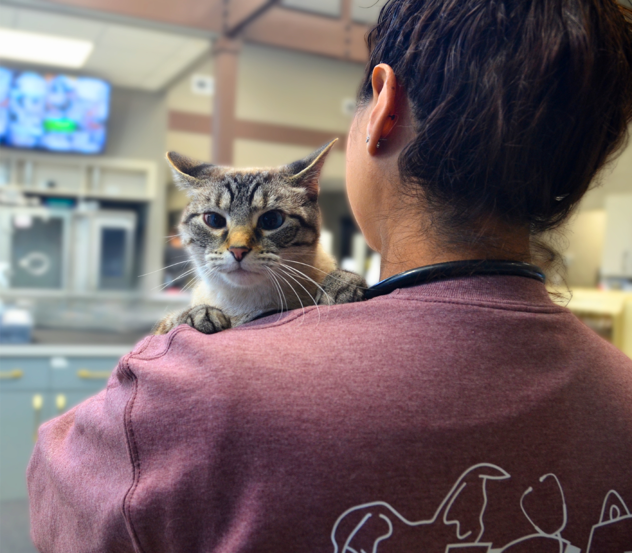 VSP neurology team holding a cat