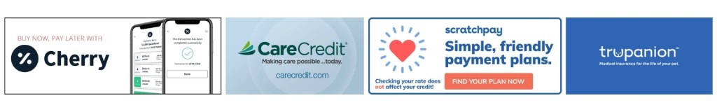 financial plans available at vsp